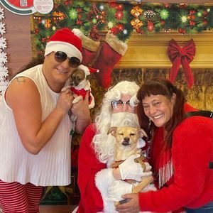 Meet your Posher, Robin